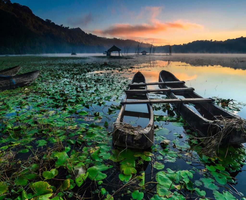 International packages